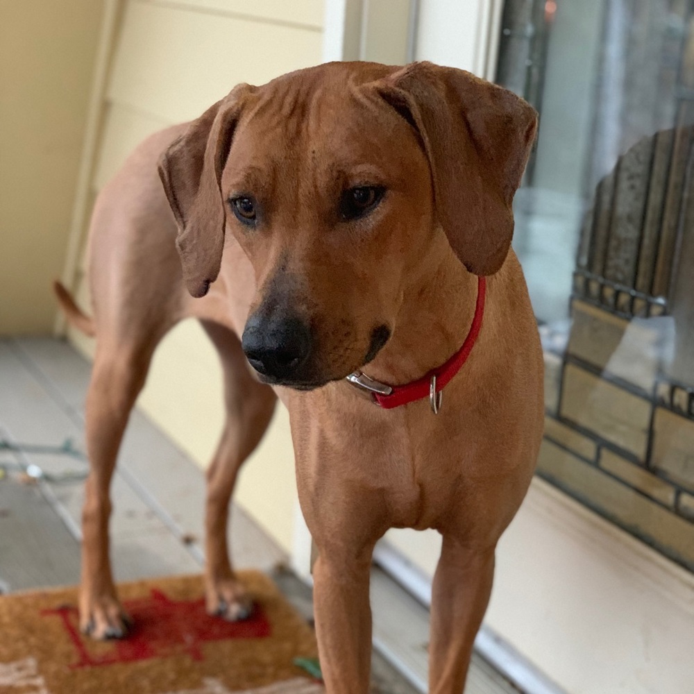 Meet your Posher, Heather